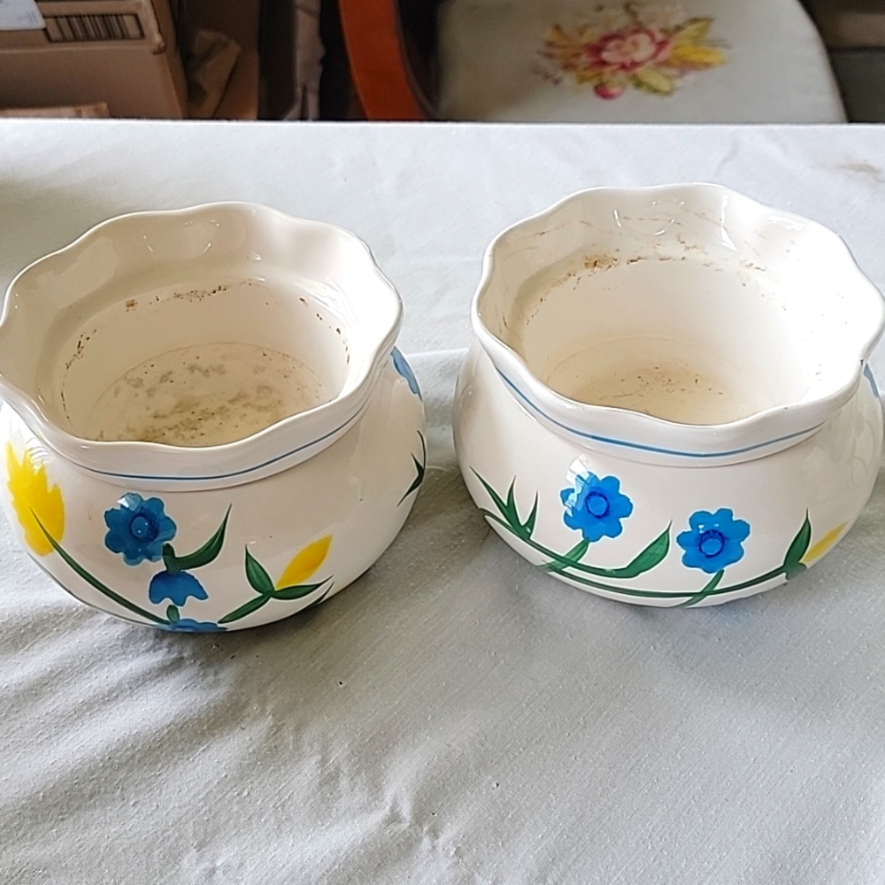 African violet pots